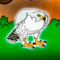 Free online flash games - Release the Falco Rusticolus