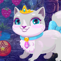 G4k Find King Cat