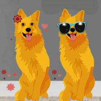 Free online flash games - 8B Find the Adorable Dog Ginger