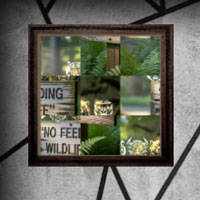Free online flash games - Amgel Easy Room Escape 308