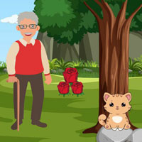 Free online flash games - G2R Grandpa Lost The Wallet
