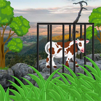 scape Cow From Poland Mountain