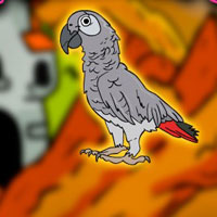 Free online flash games - Clever Grey Parrot Escape From Cage