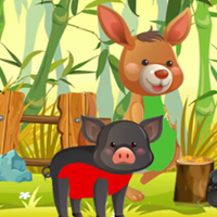 Free online flash games - G2M Bamboo Bear Freedom Quest