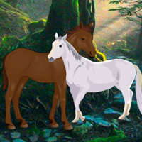 Find the Horse Love