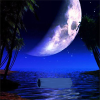 Little Zebra Moon Forest Escape