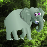 Feed the Thirsty Elephant