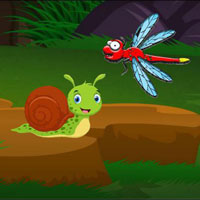 Wow Snail Meet Dragonfly