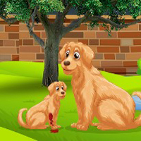G2J Baby Golden Retriever Dog Rescue