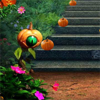 Mirchi The Pumpkin House