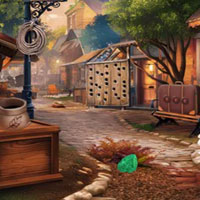 FEG Mystery Village Escape