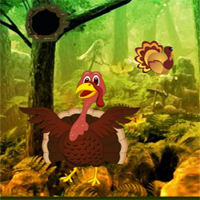 G2R Giant Turkey Forest Escape