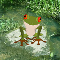Wow Froggy Fun Forest Escape
