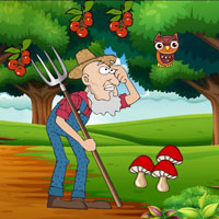 Free online flash games - G2R Farmer Locate Missing Turkeys