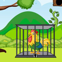 Free online flash games - The Clever Rooster In Cage
