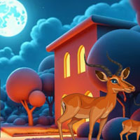 Free online flash games - Raccoon Rescue Escape