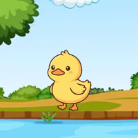 Free online flash games - G2M Trapped Duck Escape