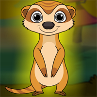 Free online flash games - G2J Escape the Meerkat from Cage