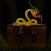 Amazon Forest Escape