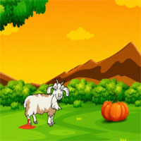 Free online flash games - Aid the Wounded Goat