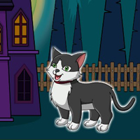 Halloween Smiley Cat Escape