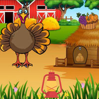 Free online flash games - Wow Turkey Retrieves Her Eggs