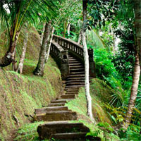 MouseCity Jungle Island Escape