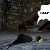 Help The King Crow HTML5