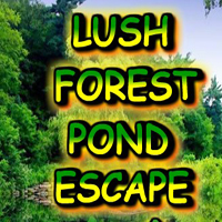 Lush Forest Pond Escape
