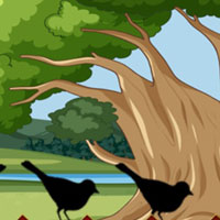 Free online flash games - Platypus Cage Escape