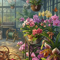Free online flash games - Bloom of Eternity