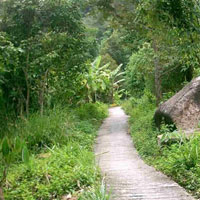 MouseCity Deep Jungle Escape