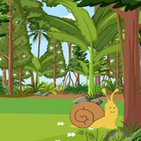 Free online flash games - G2M Wombat Rescue