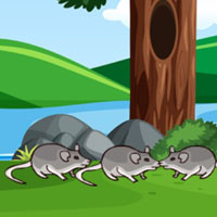 Free online flash games - G2M Tiny Paw Rescue