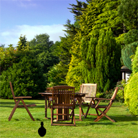 FunEscapeGames Reserve Forest Fun Escape