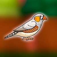 Free online flash games - Cute Zebra Finch Escape from Cage