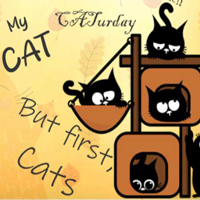 Free online flash games - 8B Find Cat Woman Lyra