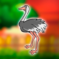 Free online flash games - Struthio Camelus Massaicus Rescue