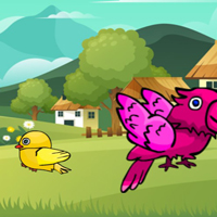 Free online flash games - G2M Freedom Fin