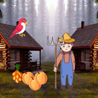 Free online flash games - BIG Farmer Searching Lost Goats