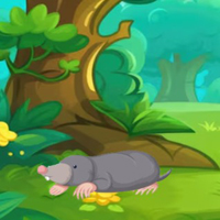 Free online flash games - G2M Bunny Rescue Escape
