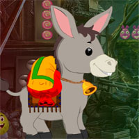 G4K Pygmy Donkey Rescue 