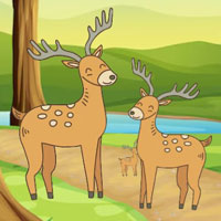 Free online flash games - G2M Little Bear Escape