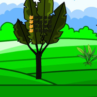 G2L Winning Bird Rescue