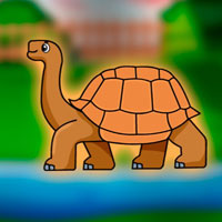 Free online flash games - G2J Tortoise Escape from Cage