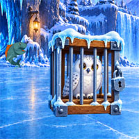 Free online flash games - Big Snowy Owl Escape