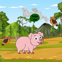 Free online flash games - G2R Pig Reach The Farm