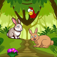 Free online flash games - Save Caged Little Rabbit