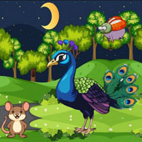 Free online flash games - BIG Help Innocent Peacock Mother