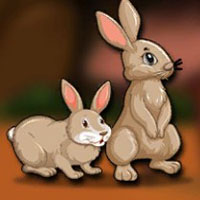 G2J Cute Bunny Couple Escape